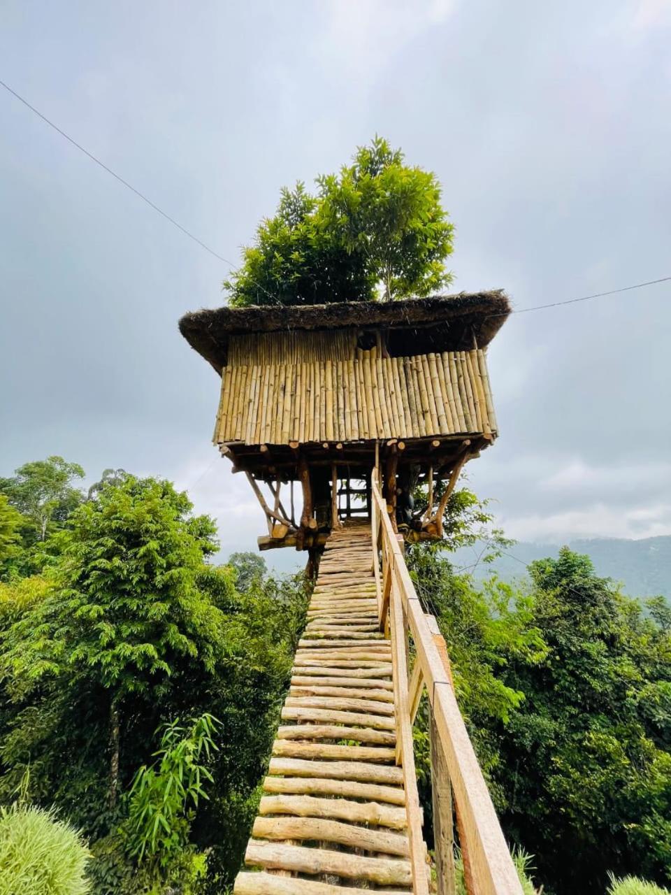 Palkulam Heights Βίλα Kumudi Εξωτερικό φωτογραφία
